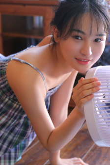 掌心龙
